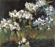 William Stott of Oldham White Rhododendrons Spain oil painting reproduction